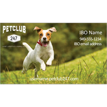 Business Cards - Jumping Dog