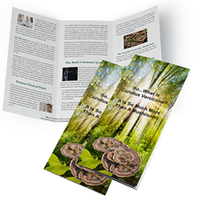 Trifold Brochure - Coriolus Versicolor Mushroom